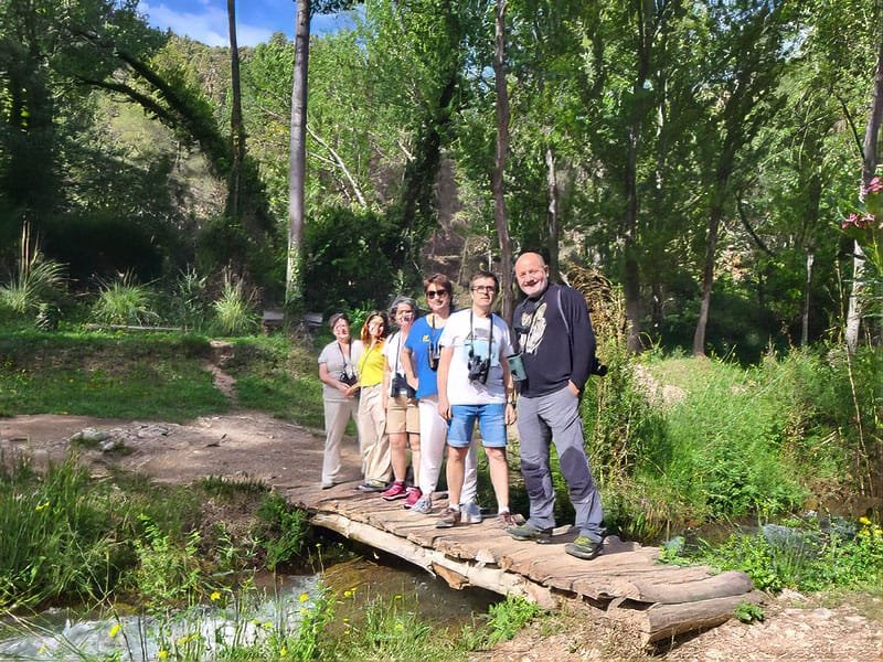 Experiencias Numeius: Birds & Winne