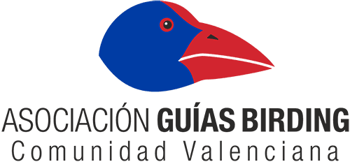 ASOCIACIÓN DE GUÍAS DE BIRDING DE LA COMUNITAT VALENCIANA