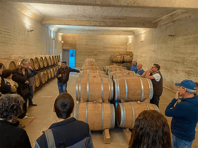 Historia de vino en nuestro tour de Birds & Wines