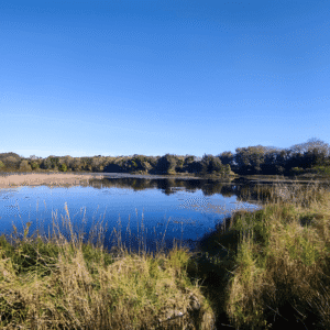 Lago para observación de aves en España