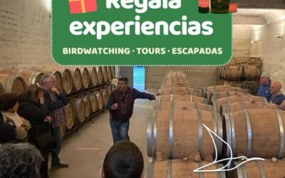 Certificado de Regalo de Birding en Valencia | El Regalo Original de Naturaleza