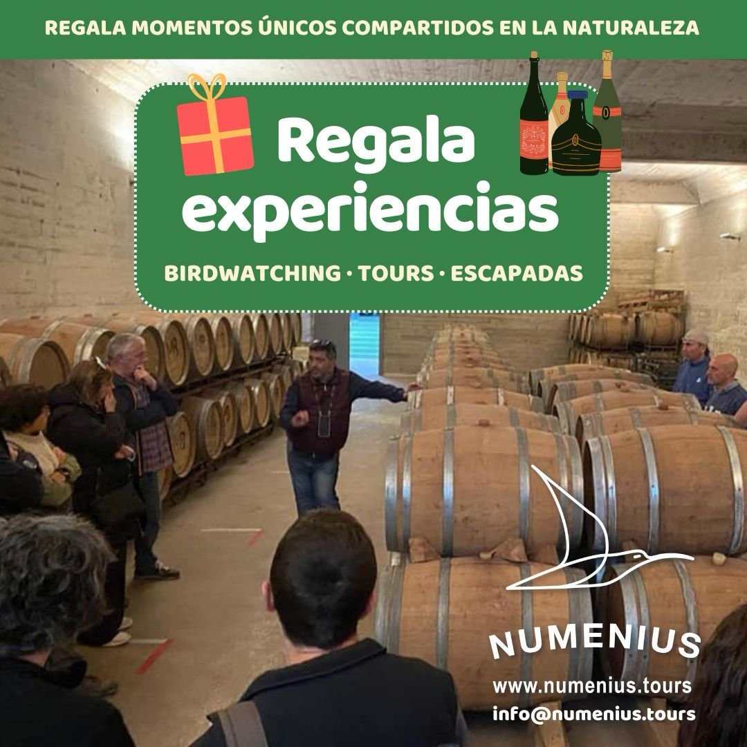 Certificado de Regalo de Birding en Valencia | El Regalo Original de Naturaleza