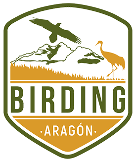 Birding Aragon, España