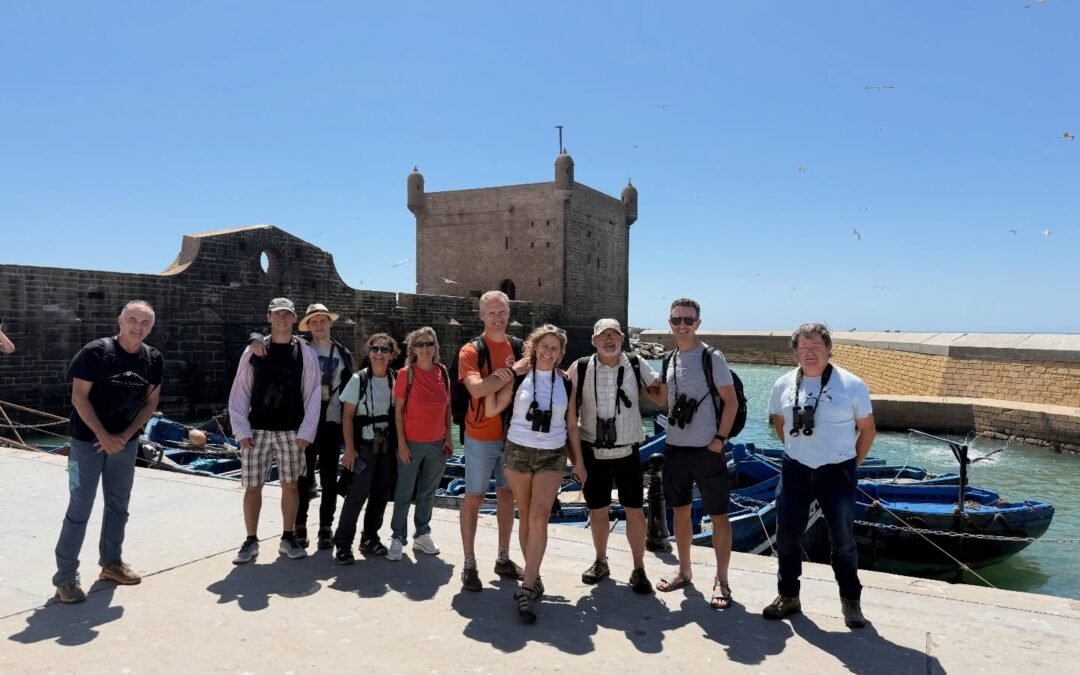 Crónica de Viaje: Birding y Naturaleza en la Costa Atlántica de Marruecos