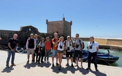 Crónica de Viaje: Birding y Naturaleza en la Costa Atlántica de Marruecos